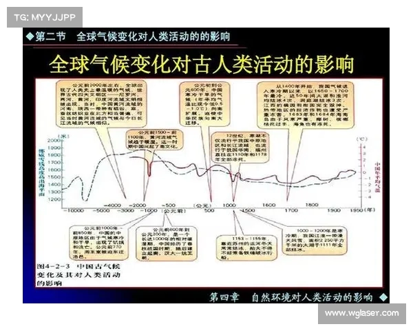 网球比赛中的体能消耗分析及其对运动员表现的影响探讨