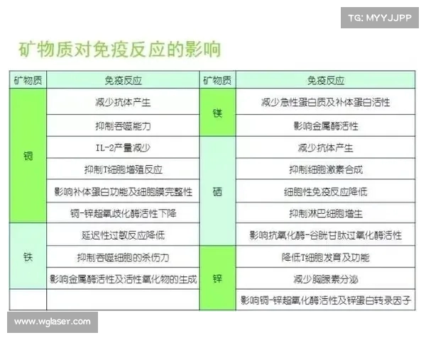 网球比赛中的体能消耗分析及其对运动员表现的影响探讨 网球比赛中的体能消耗分析及其对运动员表现的影响探讨